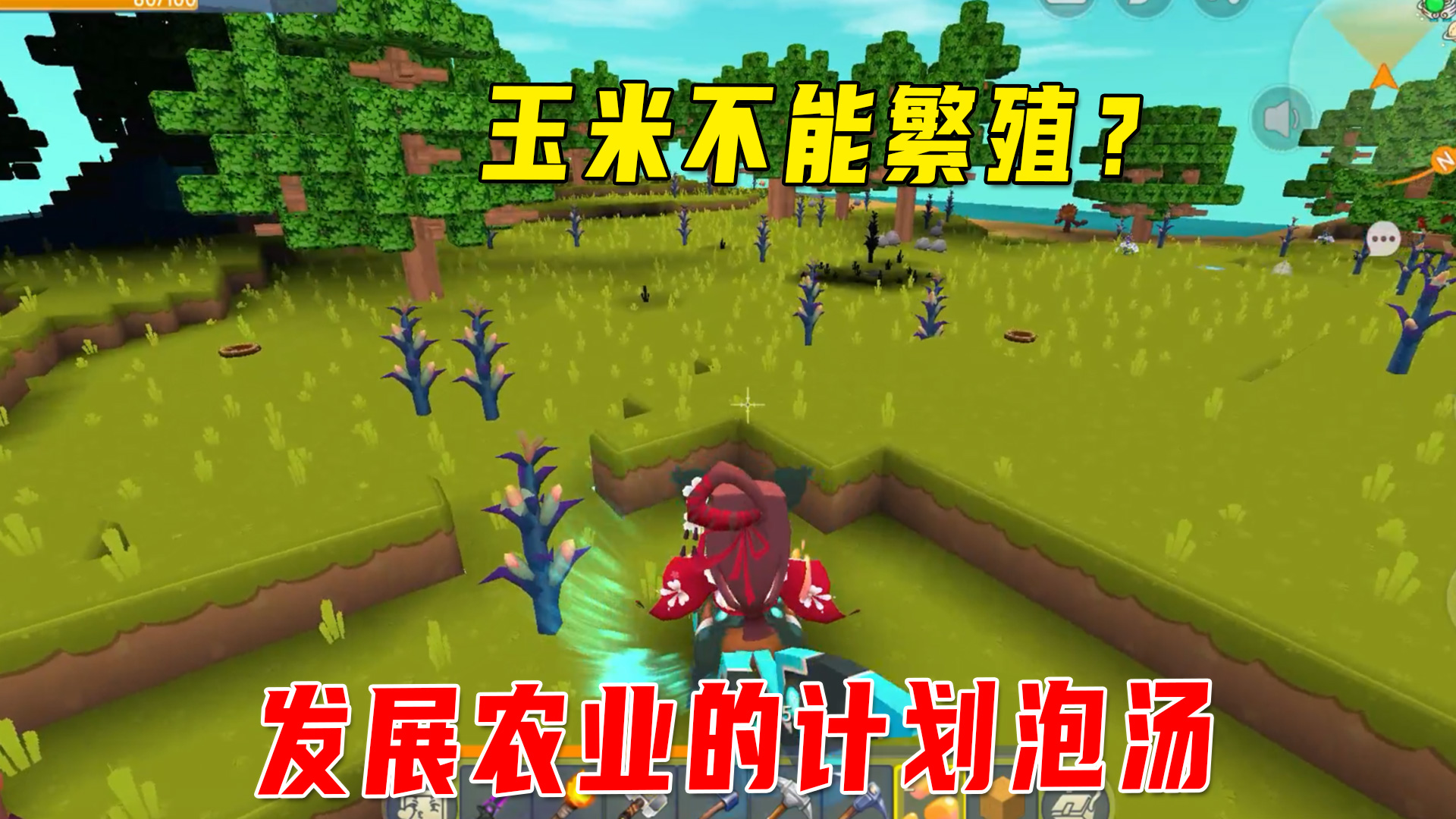 迷你新生存19：发现重大bug，玉米繁殖不了，发展农业的计划泡汤#迷你世界