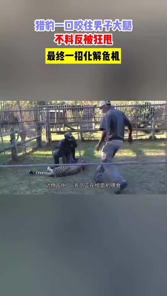 再转就吐了！