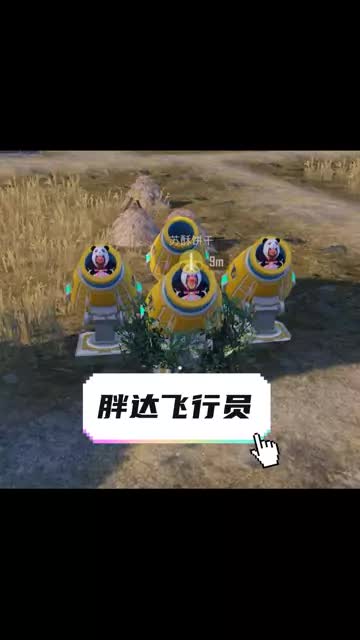 胖达飞行员申请出战～