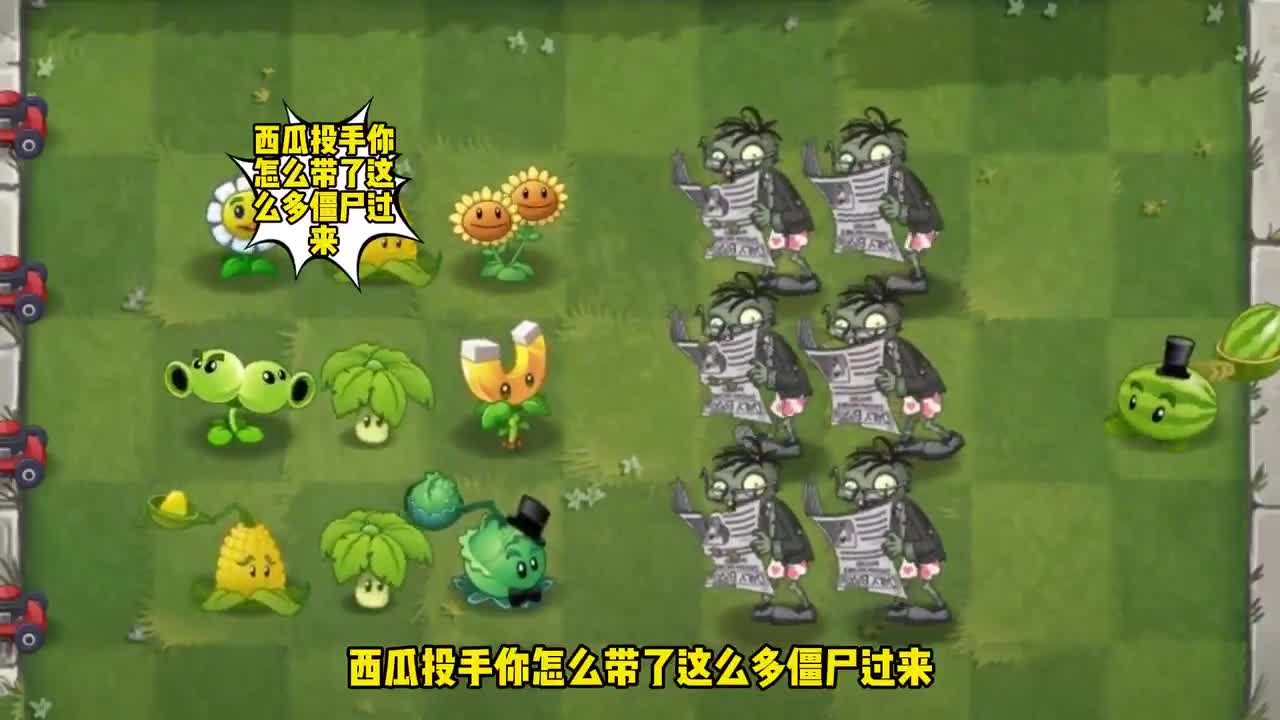 植物大战僵尸：不一样的西瓜，安排