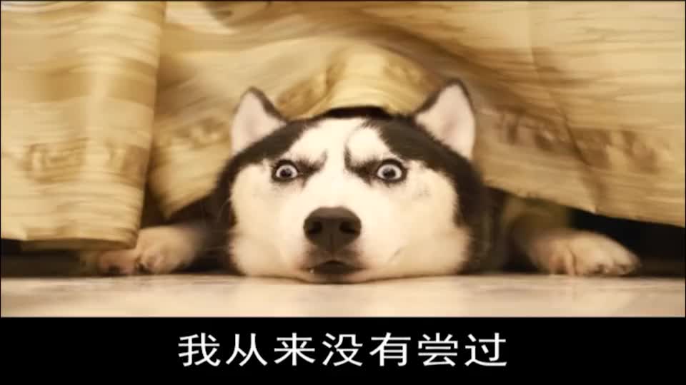 我觉得自己已经很到位了，为啥最后还