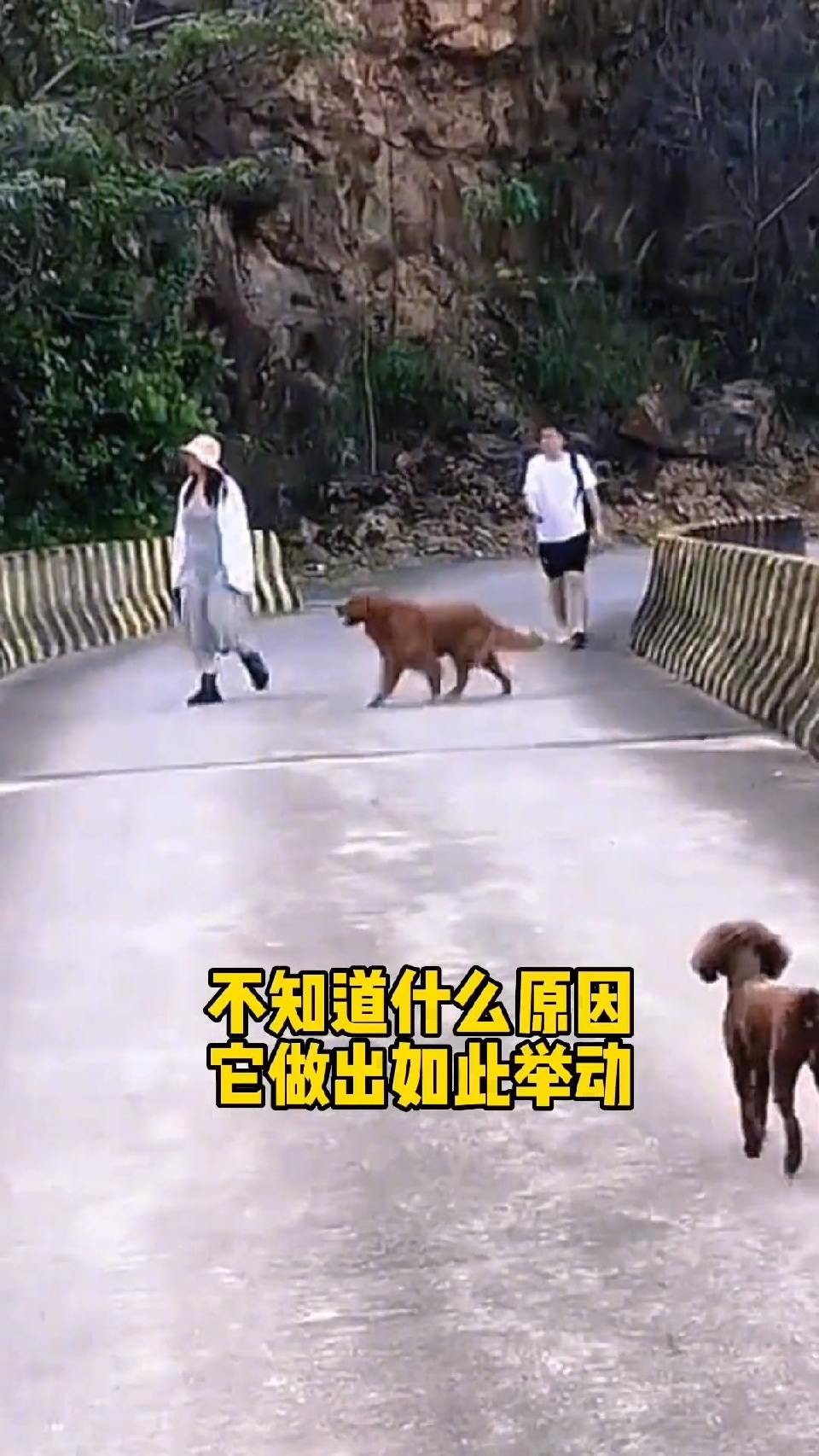 来得太突然，让我措手不及