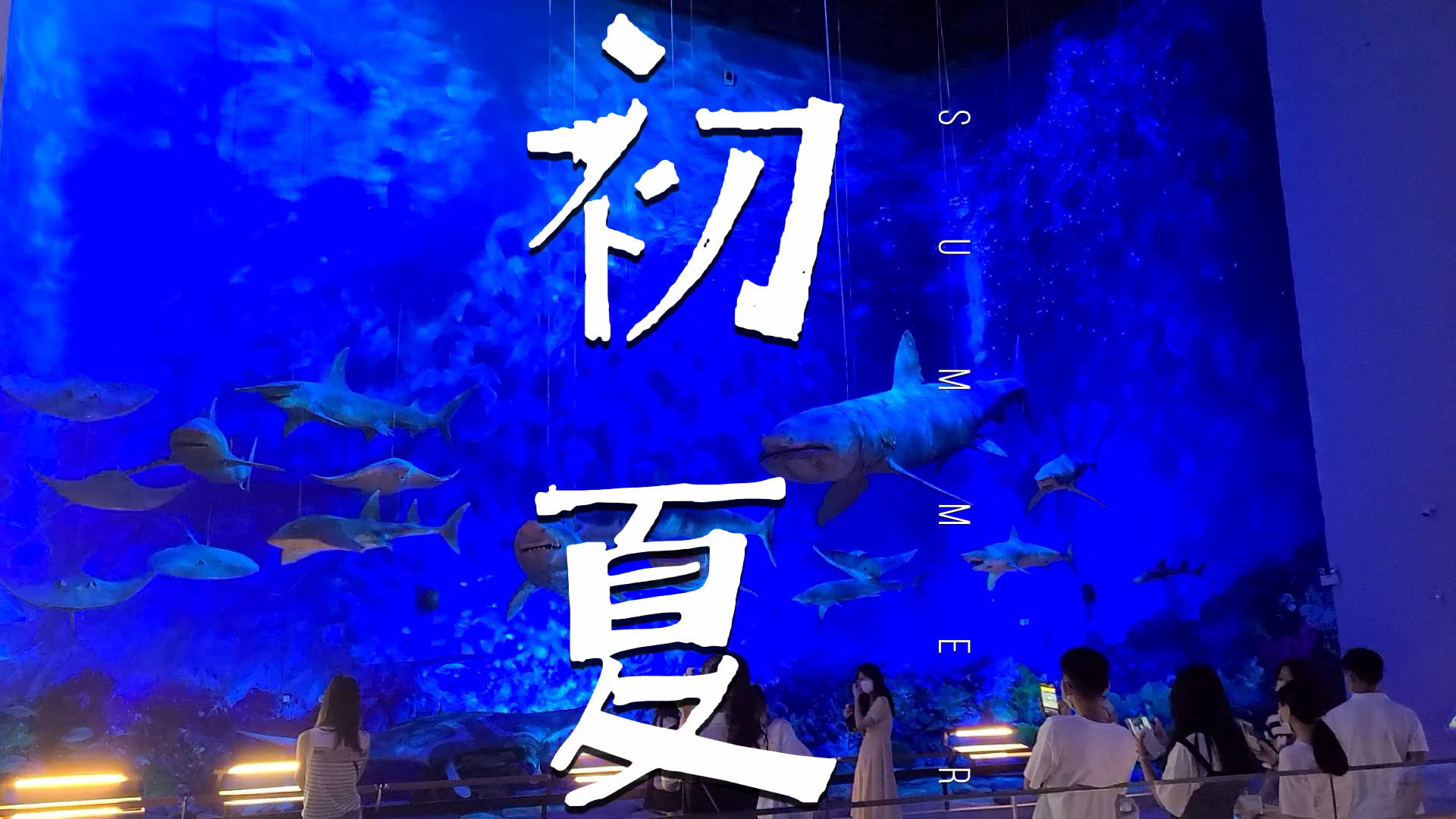 夏至 #我是Vlogger  #玩心无限期 