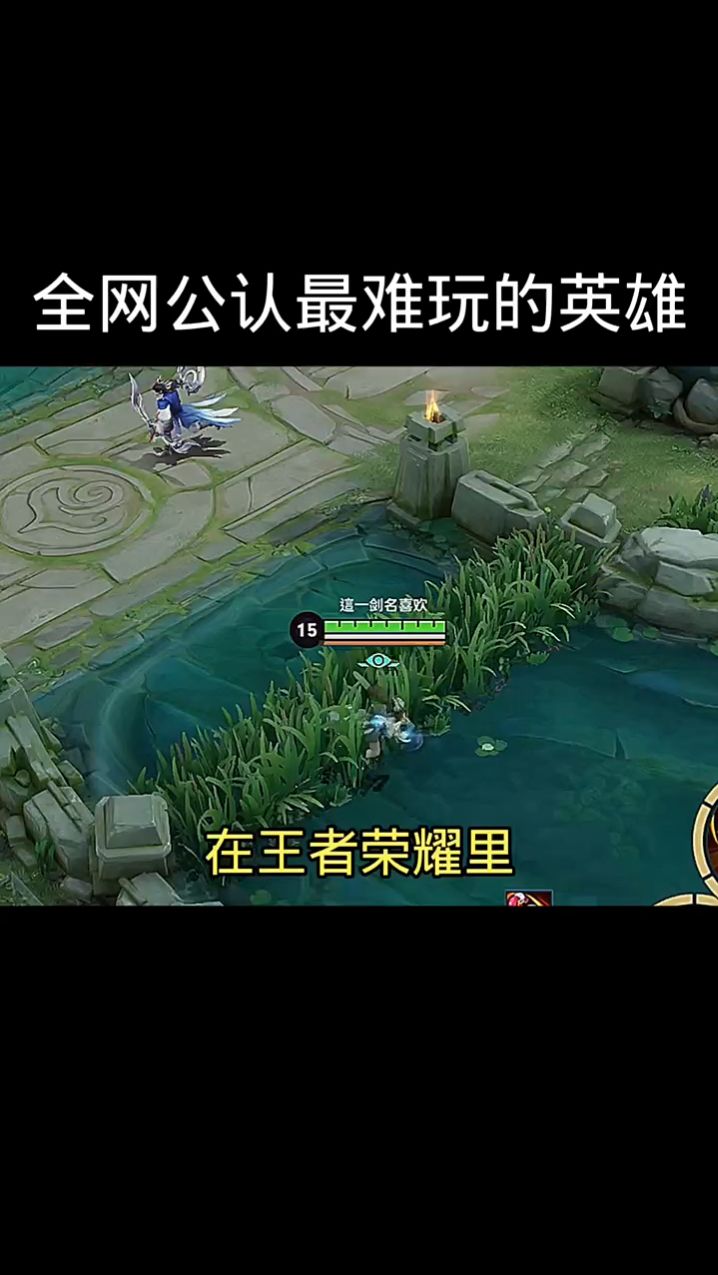 王者荣耀：全网公认最难玩的英雄！