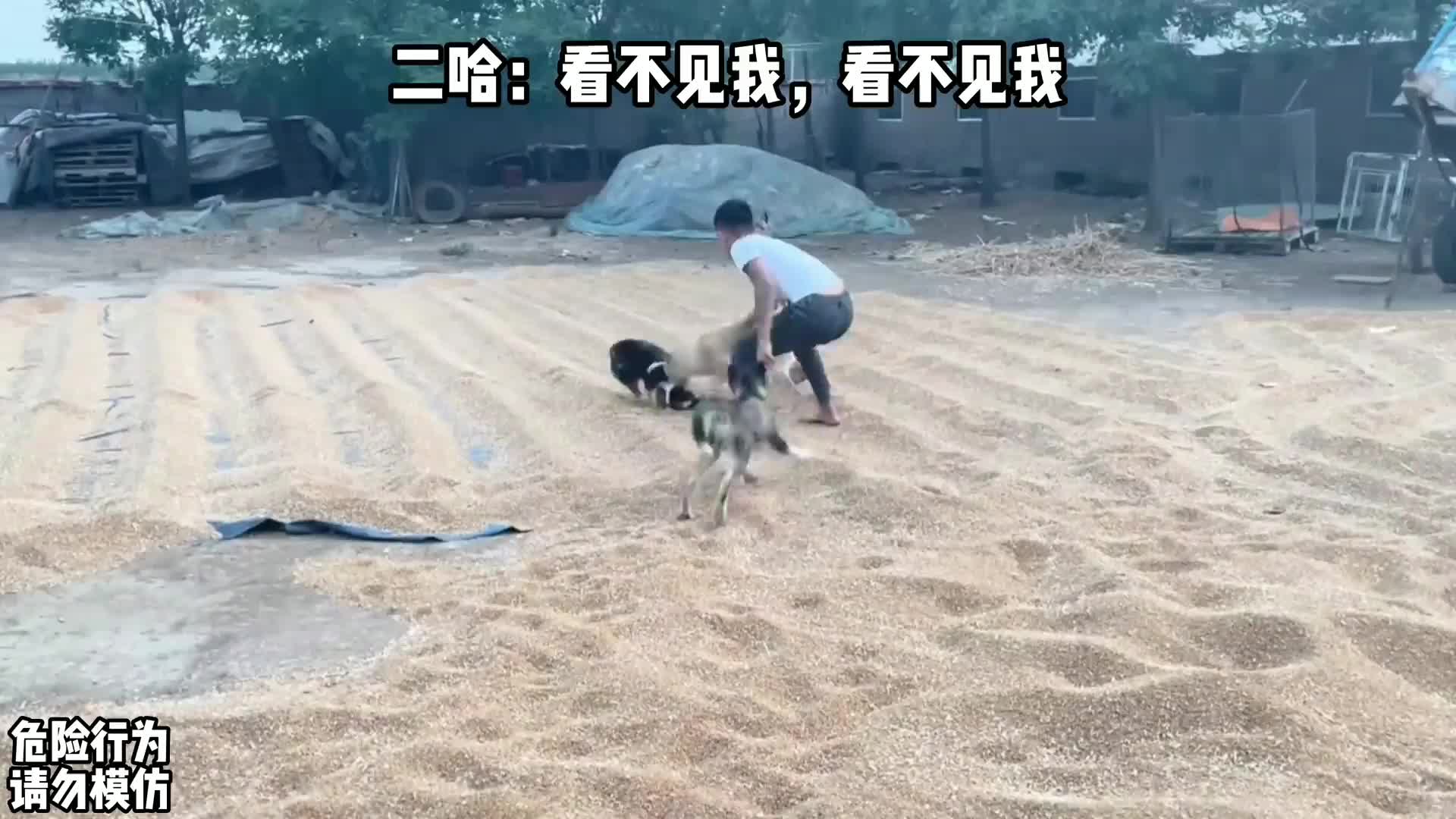 “兄弟俩”奔跑途中意外“争吵”，一顿花里胡哨，下一秒竟做出这举动！