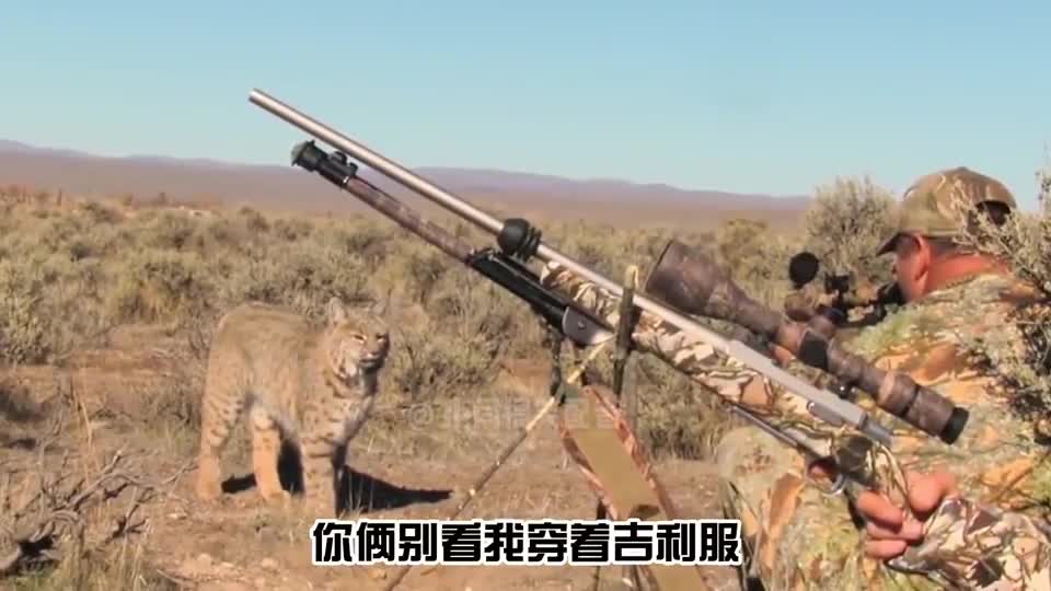这个才叫吃鸡
