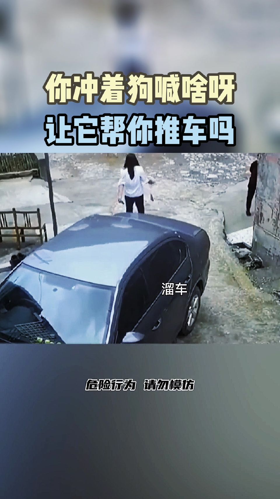 你冲着狗喊啥呀，让它帮你推门吗！
