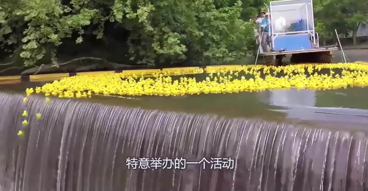 88000只小黄鸭倒入河中，谁先冲到第一，就能获得一辆汽车！