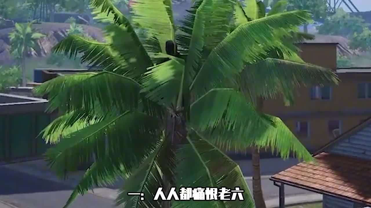 关于官方教我当老六这件事儿？