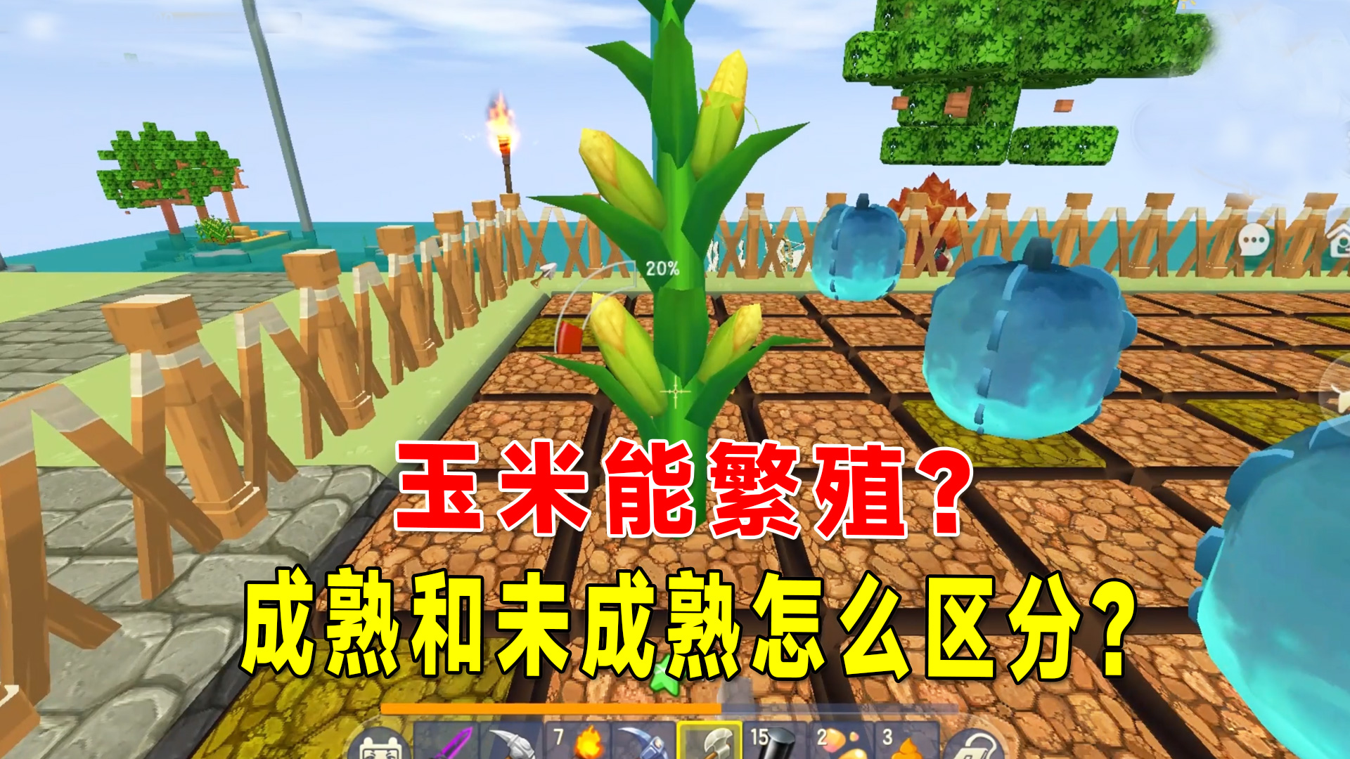 迷你新生存24：验证玉米能繁殖？只不过成熟和未成熟状态分不清楚#迷你世界