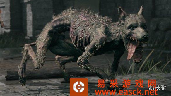 为什么《老头环》中的狗如此强大呢? Polygon 编辑发布