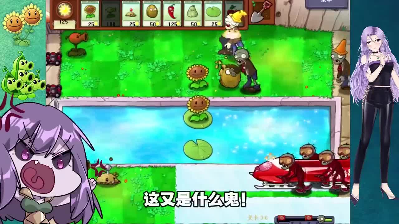 植物大战僵尸：小妹姐挑战最难关卡 考驾照都得跟他学！