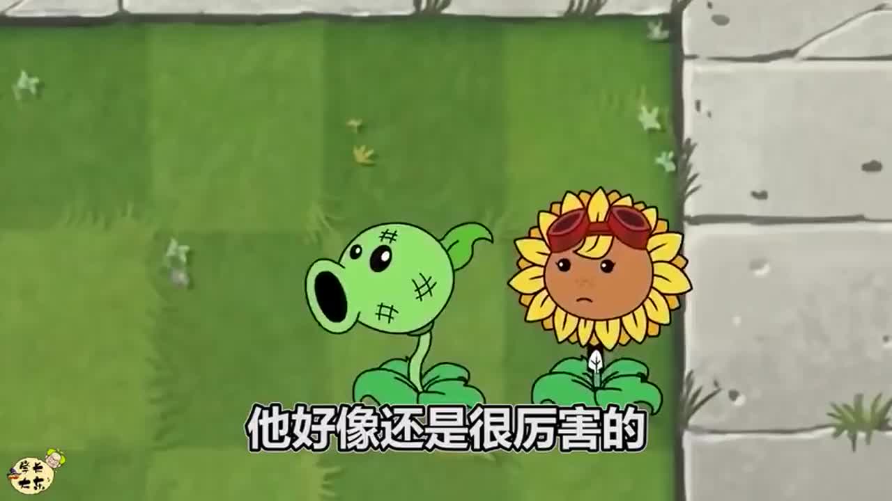 植物大战僵尸：植物和僵尸的战争