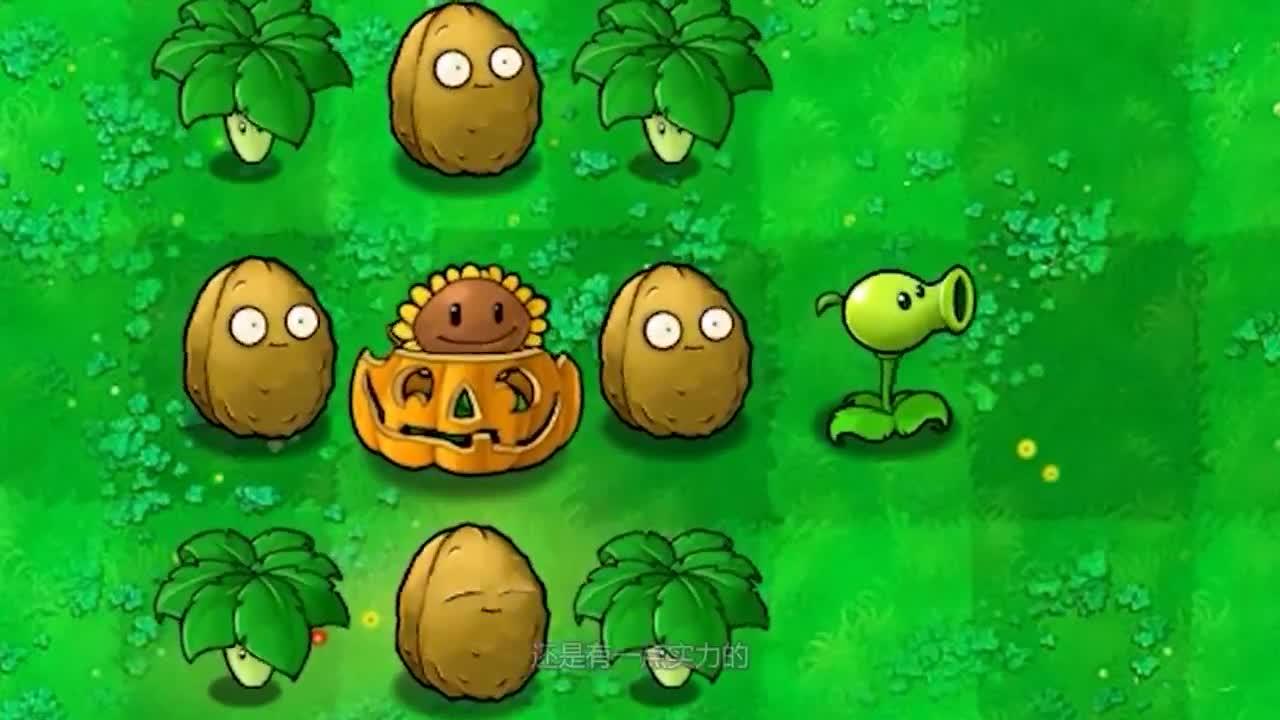 植物大战僵尸：向日葵作为一位指挥官，强大的实力还是有的。