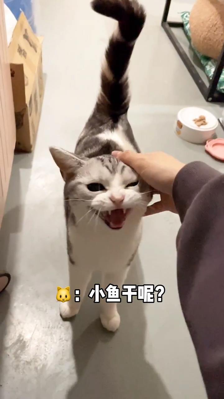 对不起！我下次一定记得给你带！