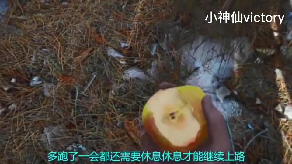 你见过吃错东西还要吐的游戏嘛