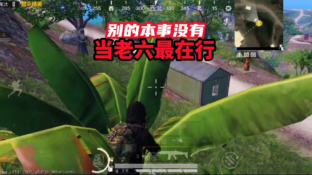 老六吃鸡：别的本事没有，当老六最在行#和平精英