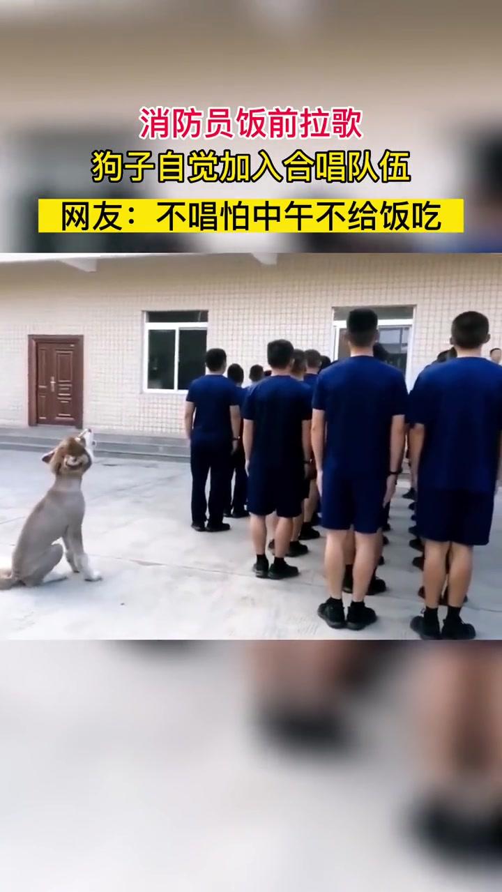 看得出来在很努力的找调了