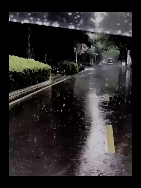 反正有我没我都一样 对吧、
