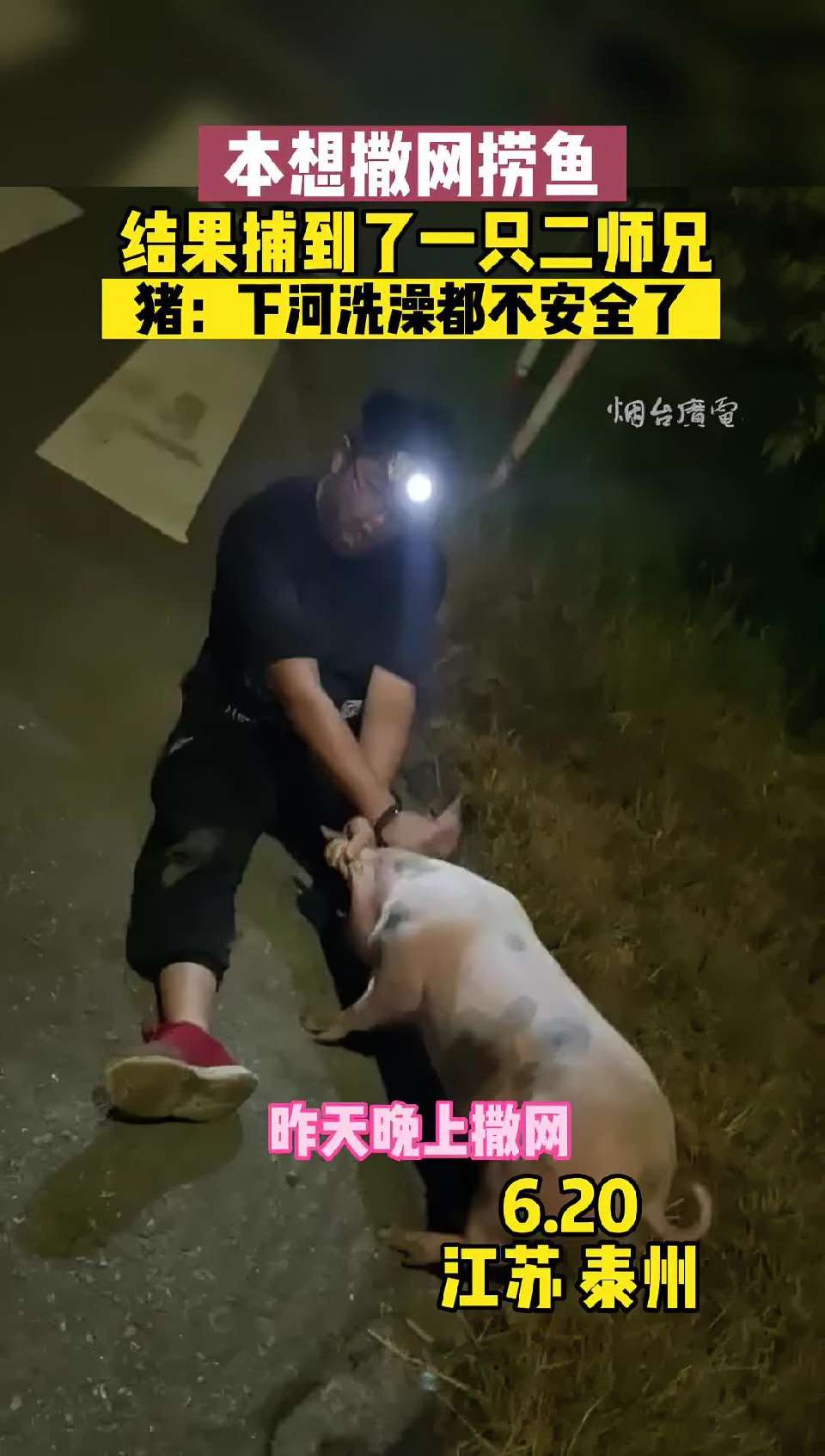 猪：大师兄，快救救俺老猪！