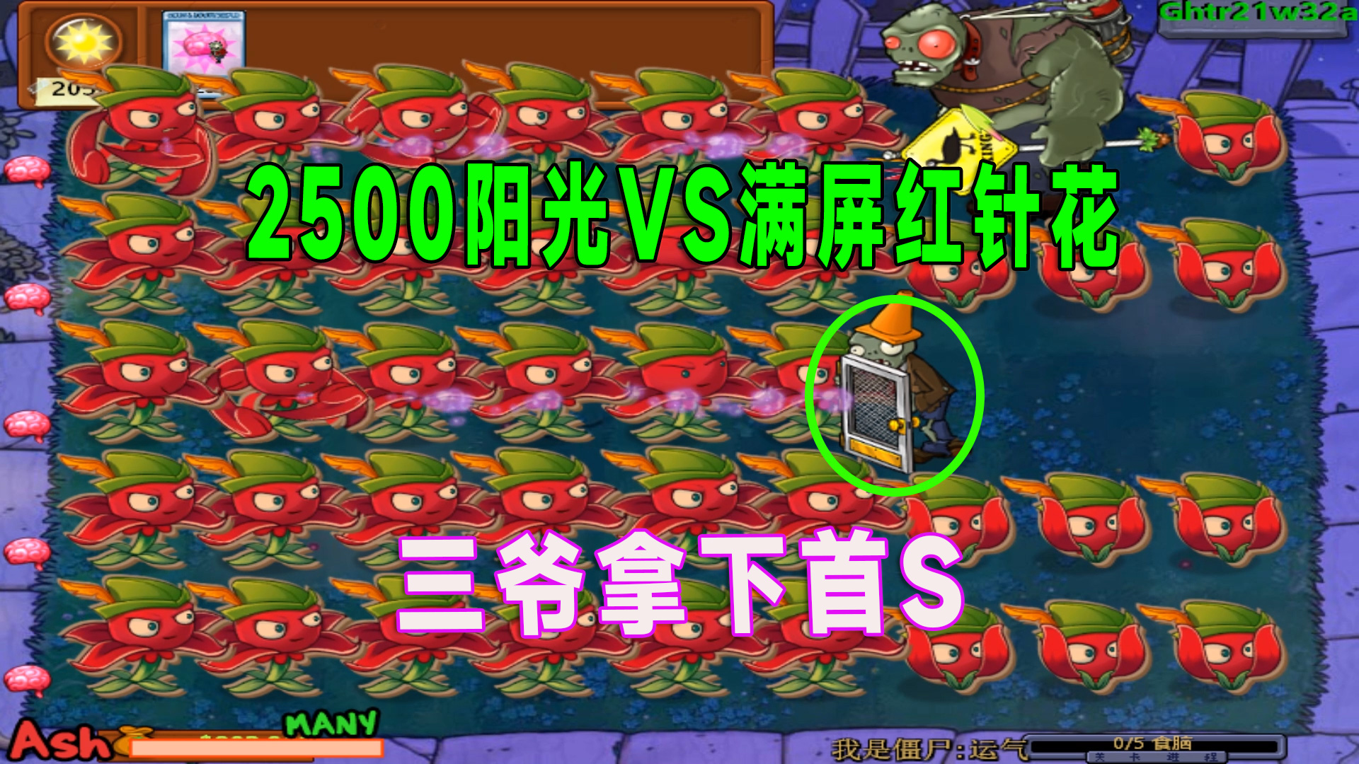 植物大战僵尸：2500阳光挑战满屏红针花，三爷还是那个最亮的仔#植物大战僵尸