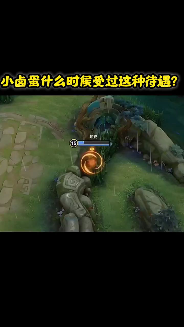 王者荣耀：小卤蛋什么时候受过这种待遇？