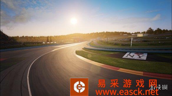 神力科莎:竞技版 FIA Motorsport Games电