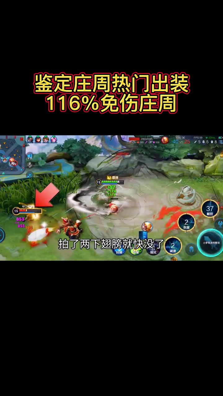 庄周变态出装，116％免伤出装！