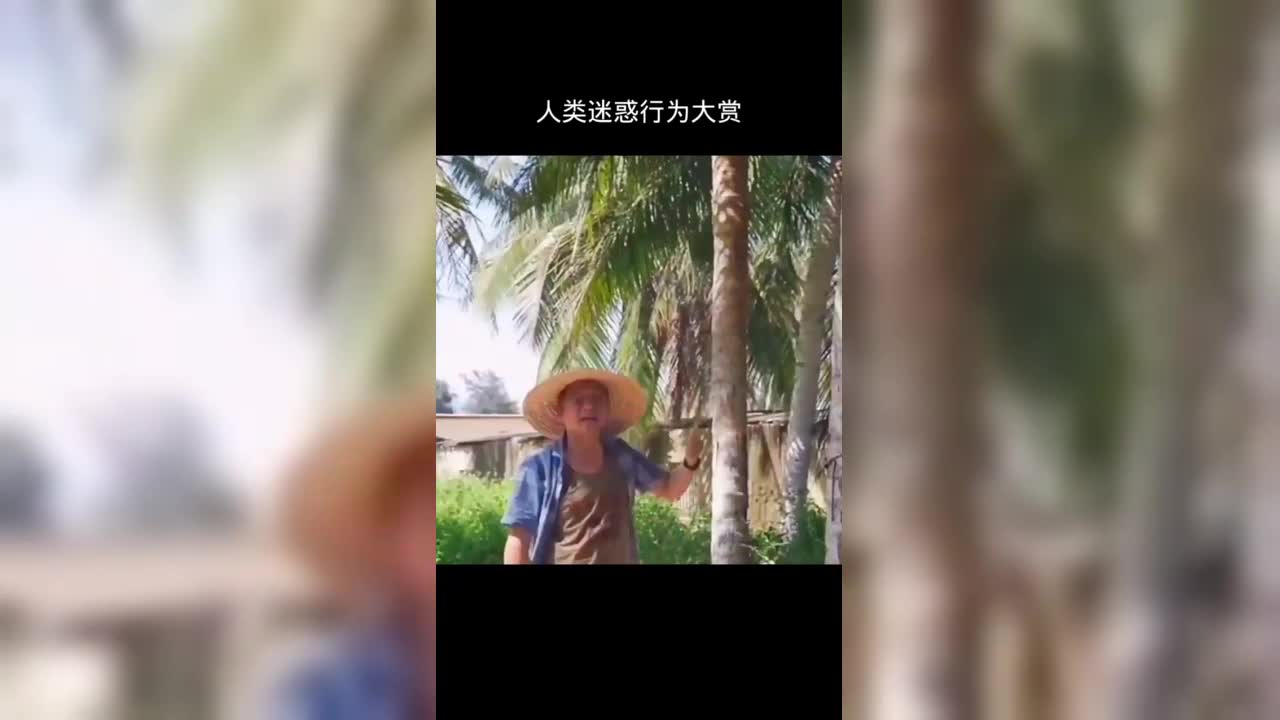 莫叔神操作！