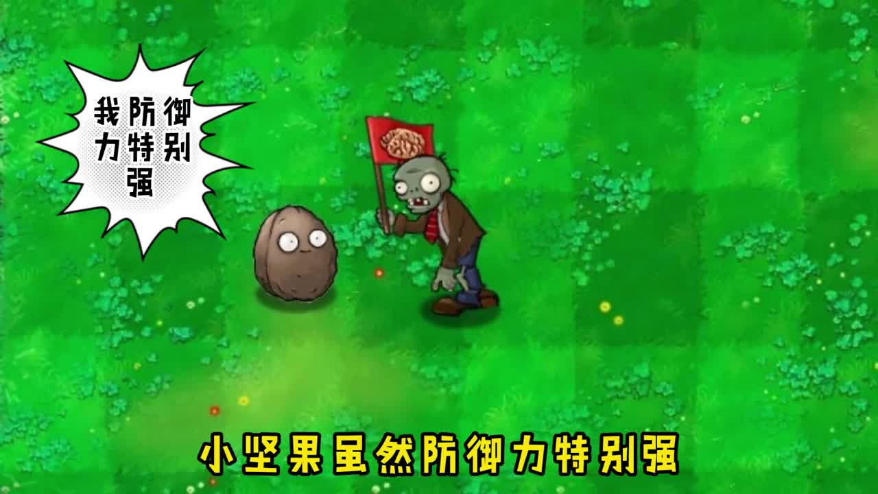当坚果有了攻击力，谁才能打败他呢？万物皆可植物大战僵尸