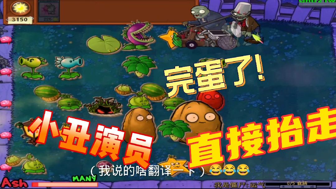随机僵尸第49期；小丑是演员！#单机游戏 #黑马小扬植物大战僵尸
