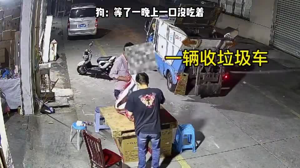 等了一晚上的“美食”，兄弟俩一个举动，狗子梦想瞬间破灭