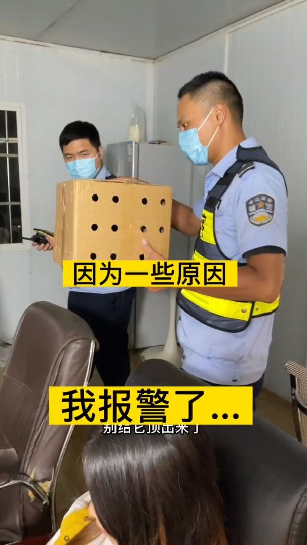 所以这个到底叫啥