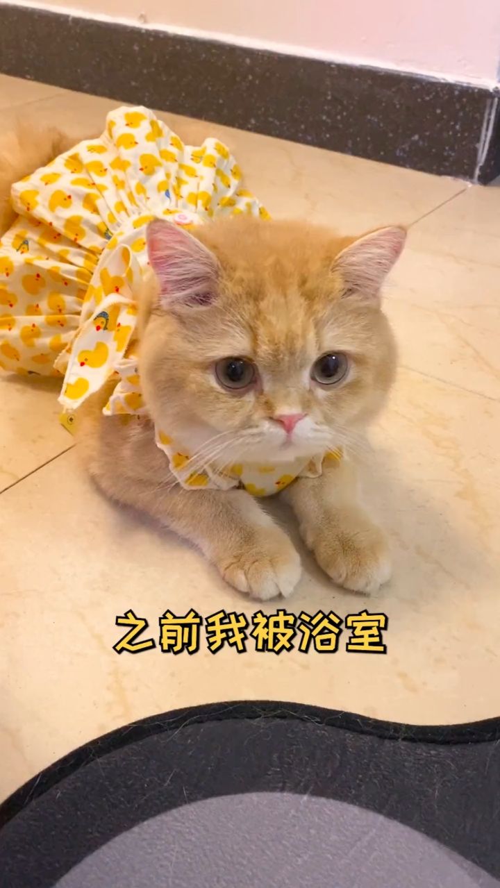 你们一直催的后续来了