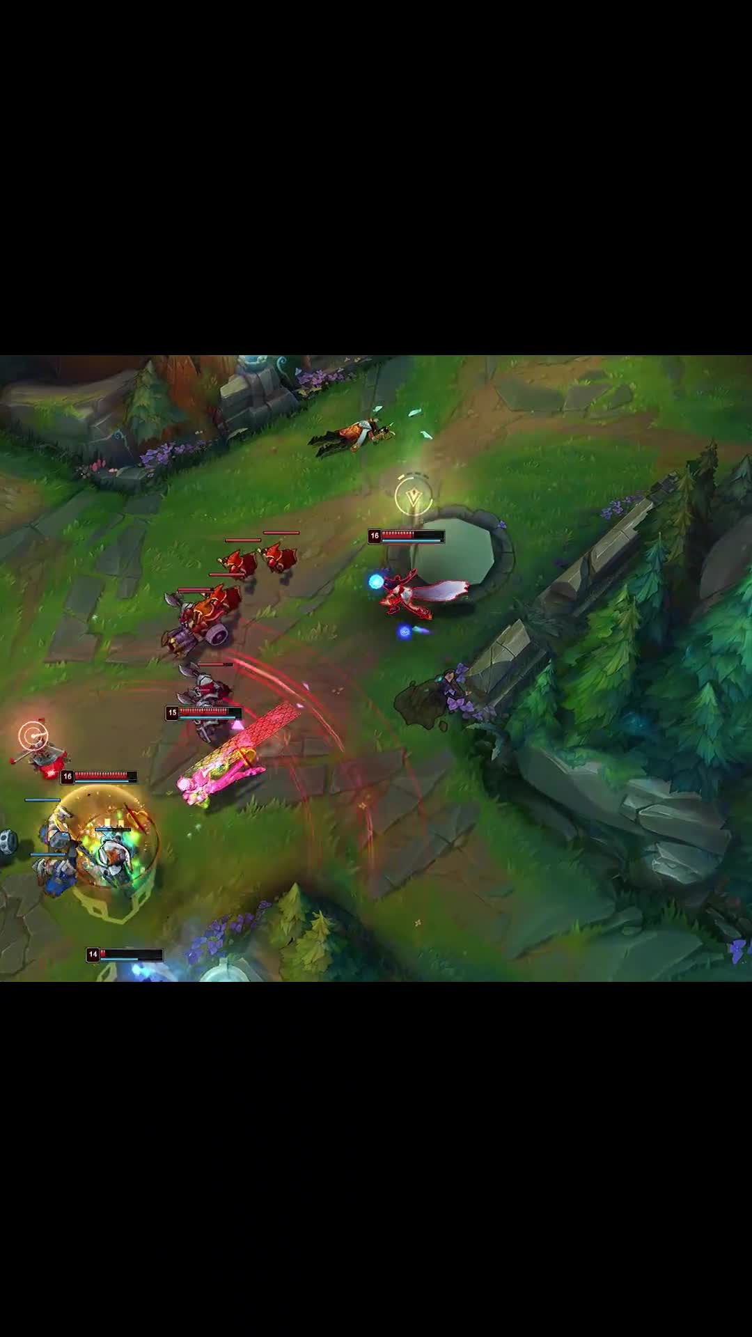 狐狸：给我一个开金身的机会好不好