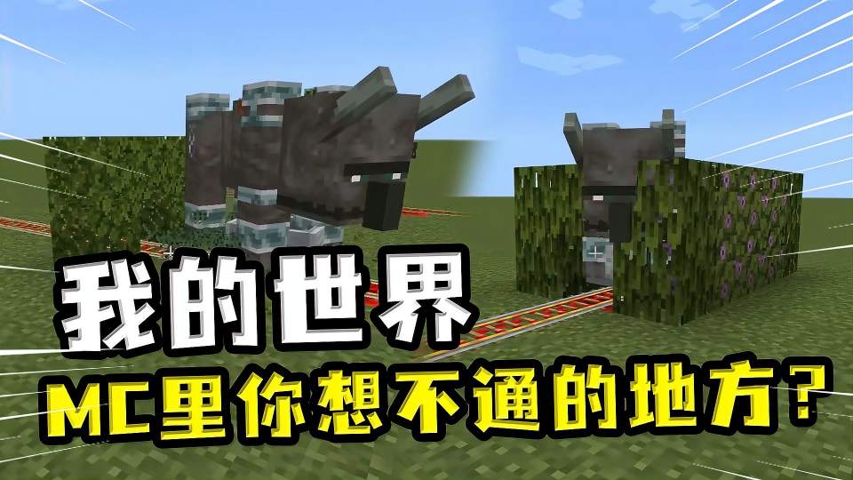 我的世界：让你想不通的MC？劫掠兽不能破坏有花的树叶