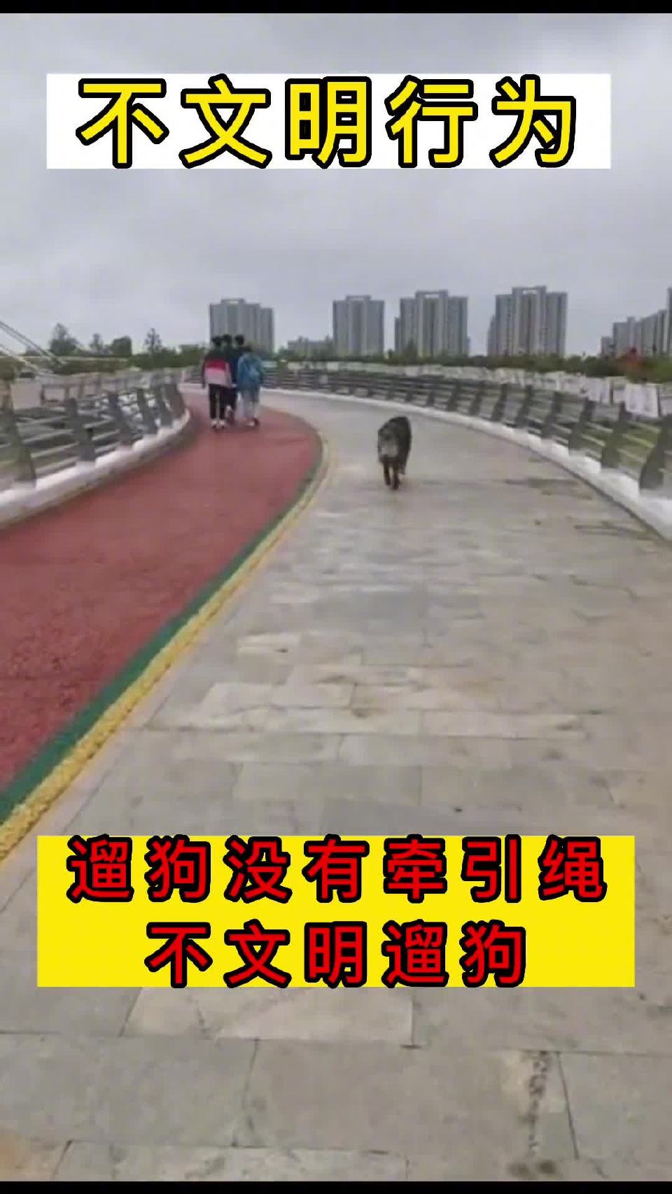 不文明行为：遛狗没有牵引绳，不文明遛狗