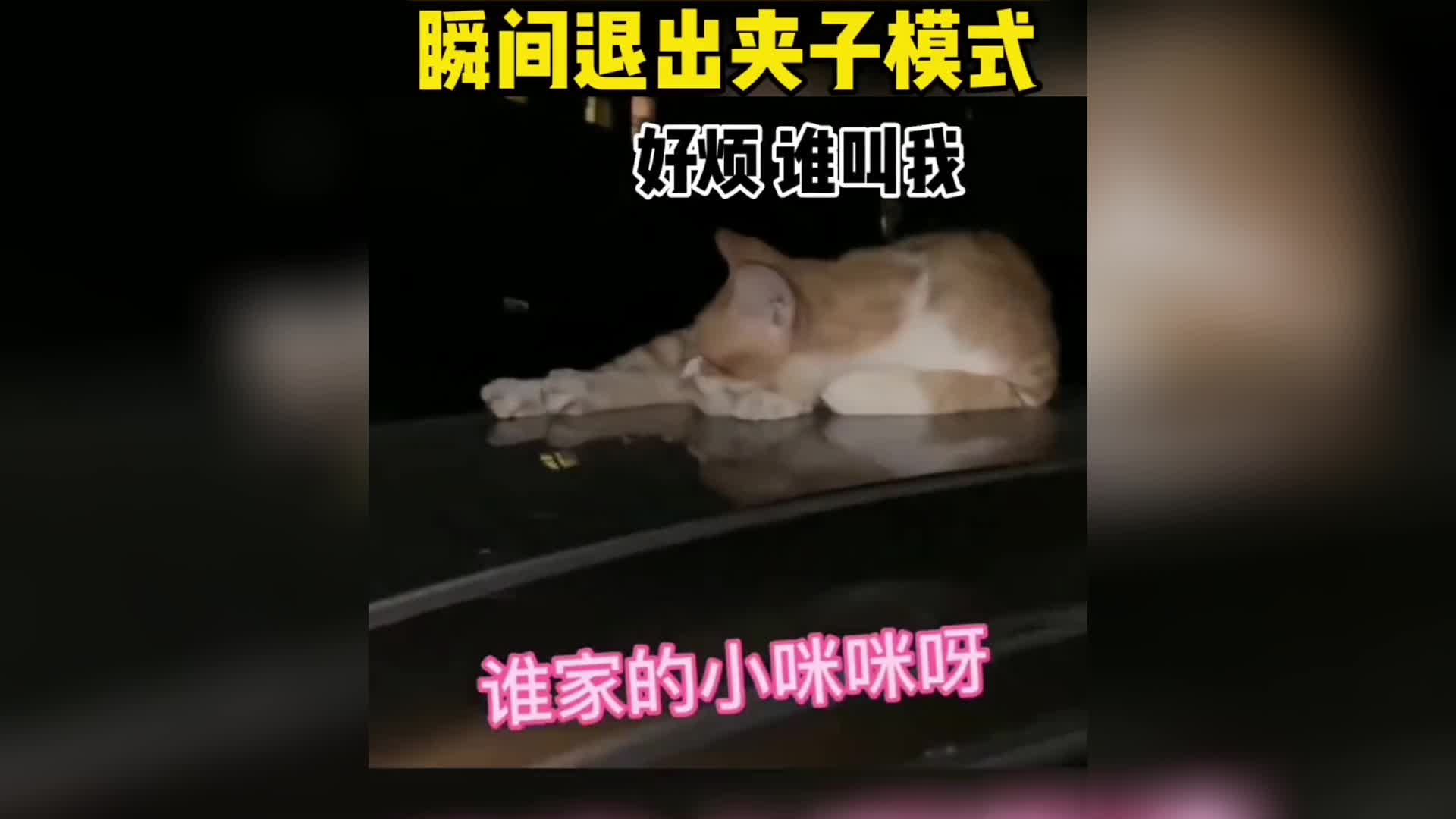 瞬间就退出了夹子模式……