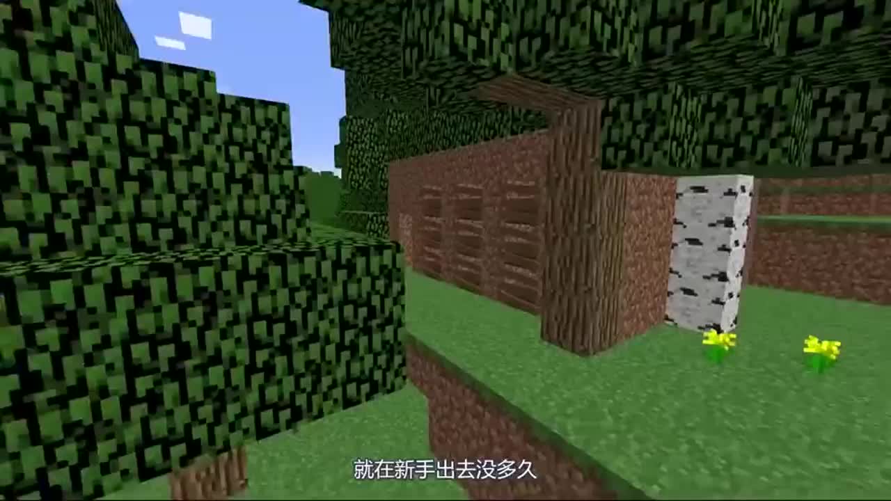 我的世界：新手VS高手！此地无银三百两？新手，真有你的！