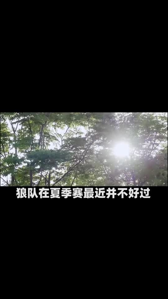 FlyS28国标英雄大洗牌 暴露狼队新战术