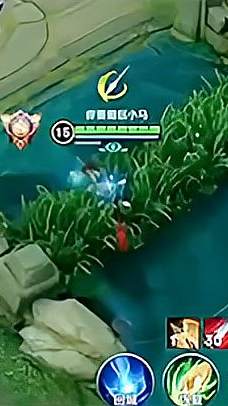 王者荣耀：野区乱不乱，我就说的算！