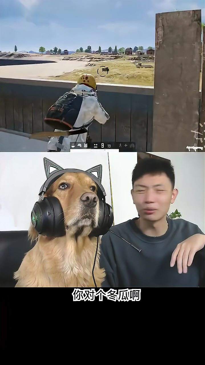 第一次见有人拿DBS当狙使的~