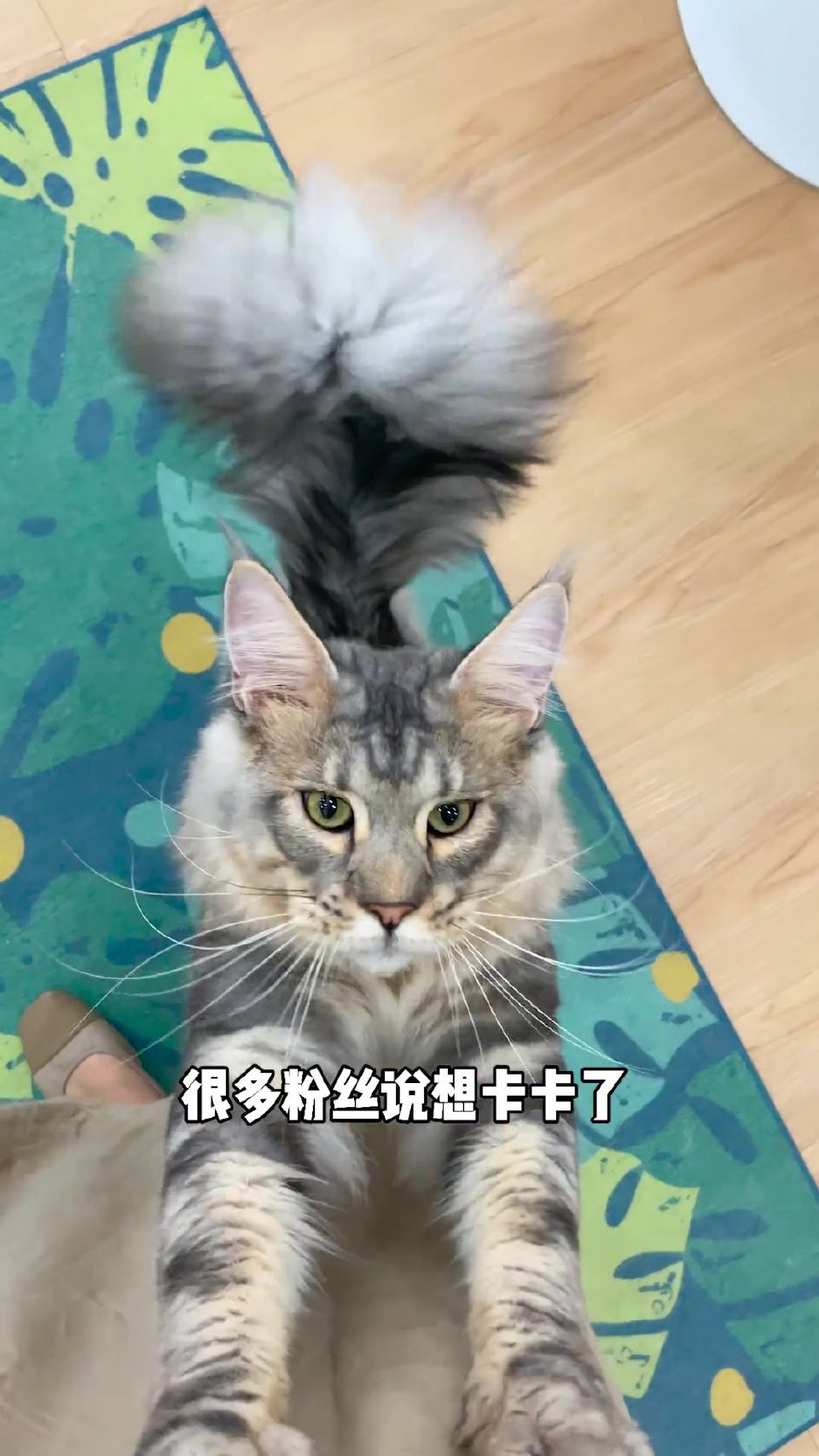 往后你们要多准备几个麻袋了