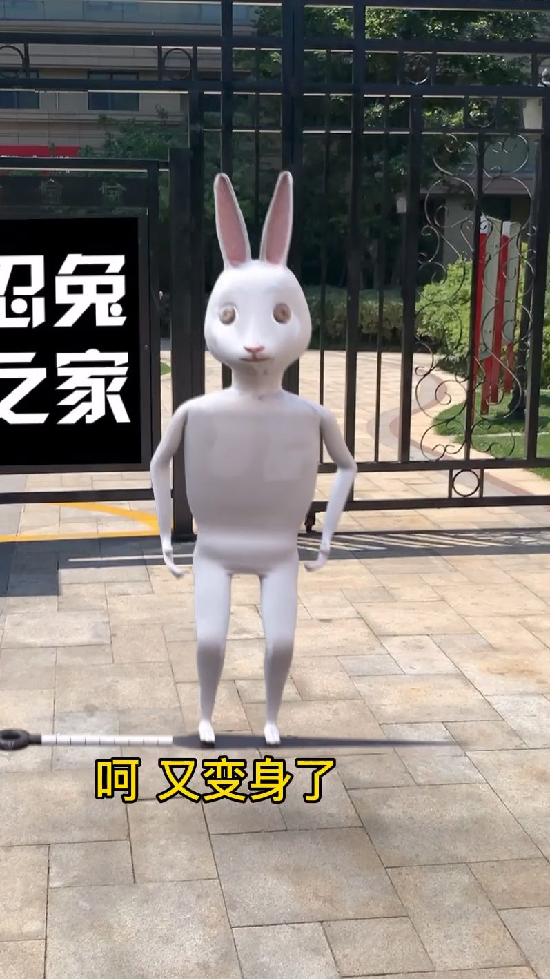 忍兔为了雪糕给我开门了