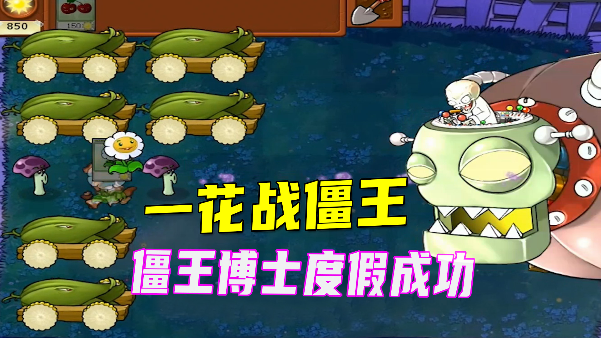 植物大战僵尸：挑战一花战僵王，僵王博士能成功去度假吗？#植物大战僵尸