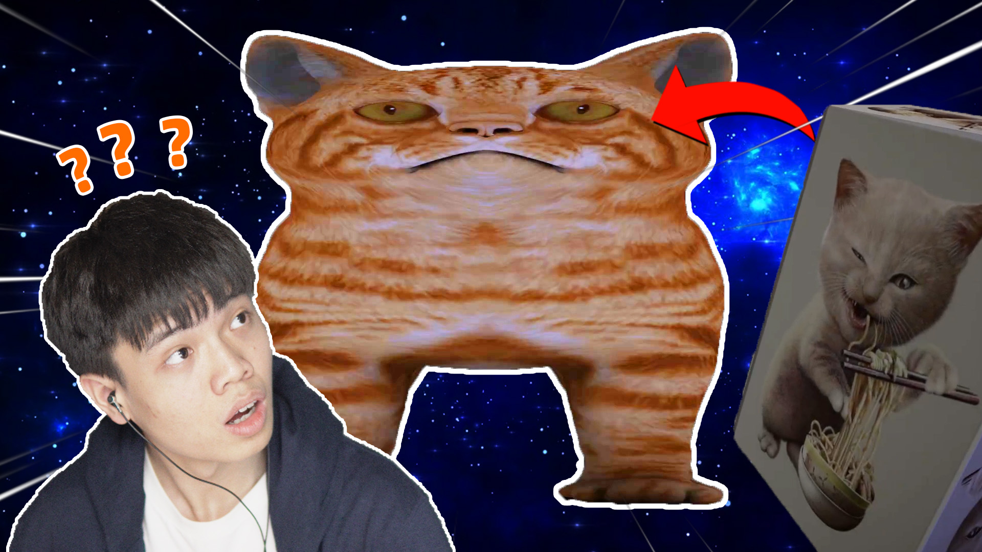 无厘头游戏！当你正确的喂猫，你能解放整个宇宙？