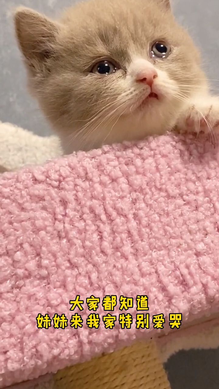 我也不知道该送走谁了！