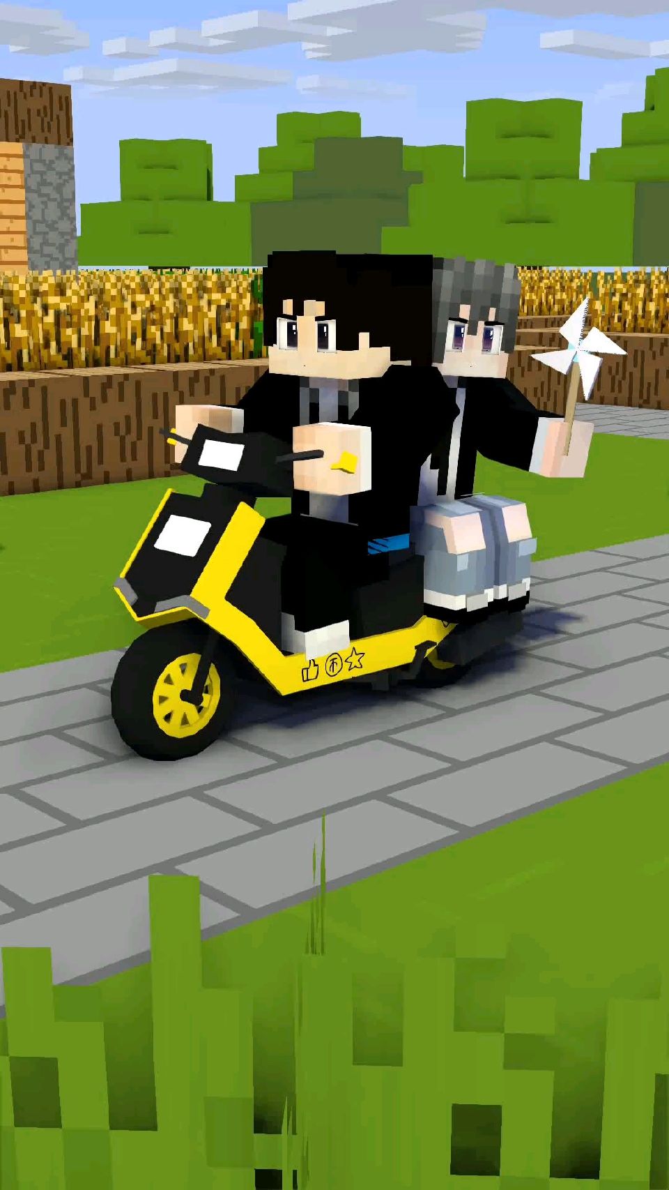 每天都是夹子