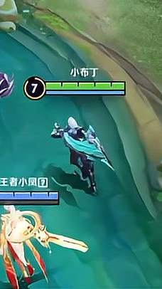 王者荣耀：花木兰在解释什么？