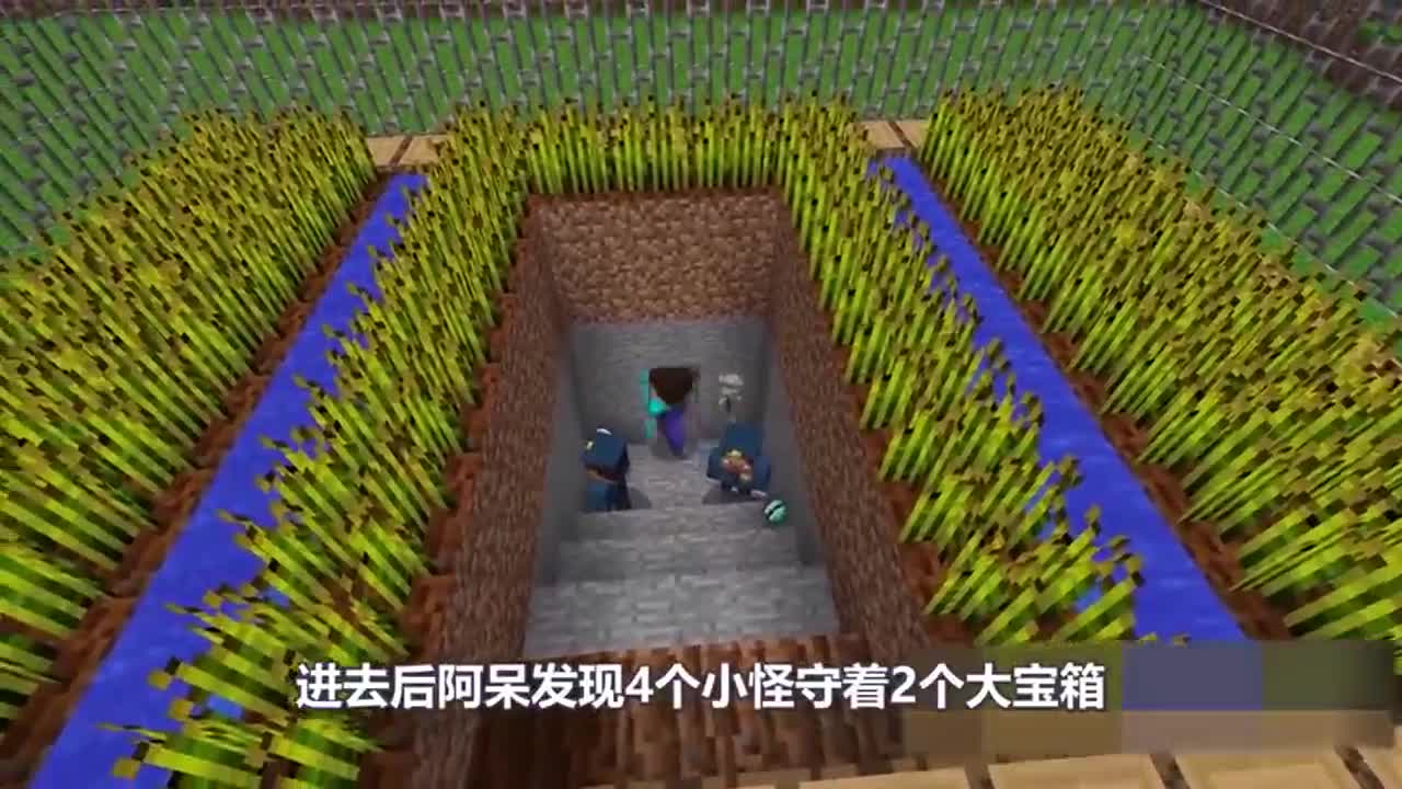 我的世界：阿呆想偷村民的宝藏，竟拿出钻石贿赂保安！